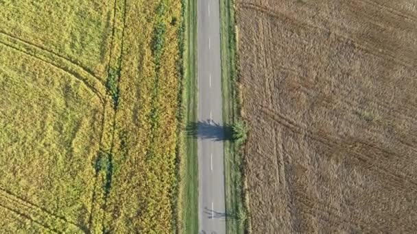 Latanie na kopter wzdłuż drogi przechodzącej między dwoma polami — Wideo stockowe