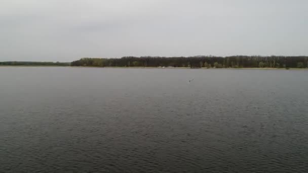 Vue aérienne du vol derrière la cigogne survolant le lac 