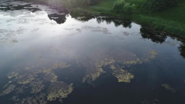 Вид с воздуха на озеро с лесом и закатом — стоковое видео