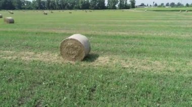 Havadan görünümü ile bir yeşil-turuncu alanının saman saman sheaves yuvarlak. 4k video