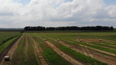 Havadan görünümü ile bir yeşil-turuncu alanının saman saman sheaves yuvarlak. 4k video