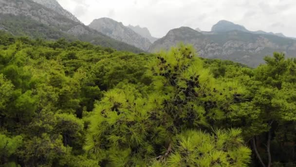 Vista aérea del Parque Nacional Montañas y Costa en Turquía, pueblo de Beldibi — Vídeo de stock