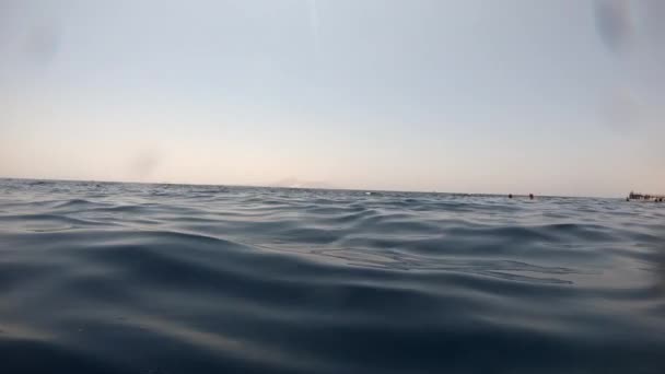 Underwater camera plunges over down into the water and into the depths of Egypt, the Red Sea — Stock Video