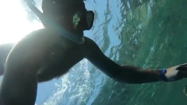 Homme plongeant avec masque dans la mer Rouge sur fond de coraux, poissons colorés — Video