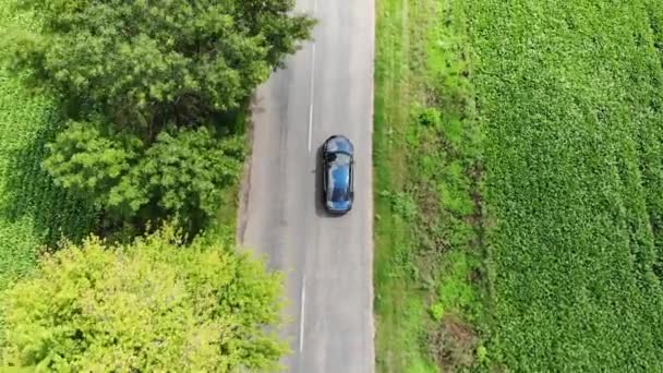 A câmera está perseguindo o carro que dirige ao longo da estrada entre os campos verdes . — Vídeo de Stock