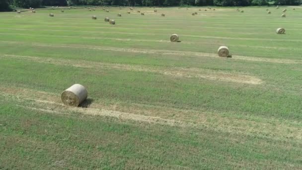 Vista aérea de un campo verde-naranja con gavillas redondas de paja de heno. Vídeo 4k — Vídeo de stock