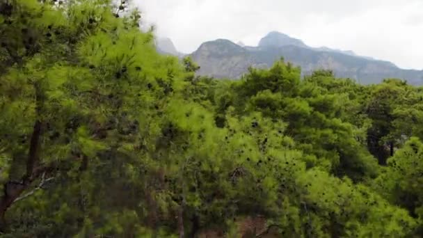 Vue Aérienne des Montagnes et du Parc National de la Côte en Turquie, village Beldibi — Video