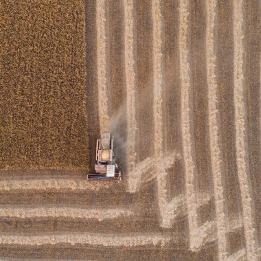 Çalışma alanı ve Mowser buğday hasat. Ukrayna. Havadan görünümü.