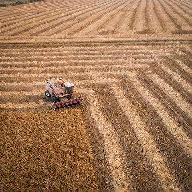 Çalışma alanı ve Mowser soya hasat. Ukrayna. Havadan görünümü.