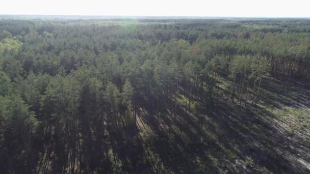 4k 空中飞越一个美丽的绿色森林在农村景观, 乌克兰 — 图库视频影像
