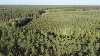 yeşil bir ormanda bir kırsal manzara, Ukrayna üzerinden uçan 4 k anteni