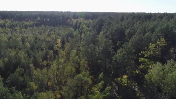 4K aérea de vuelo sobre un hermoso bosque verde en un paisaje rural, Ucrania — Vídeo de stock