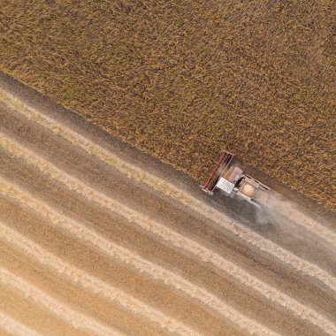 Çalışma alanı ve Mowser buğday hasat. Ukrayna. Havadan görünümü.