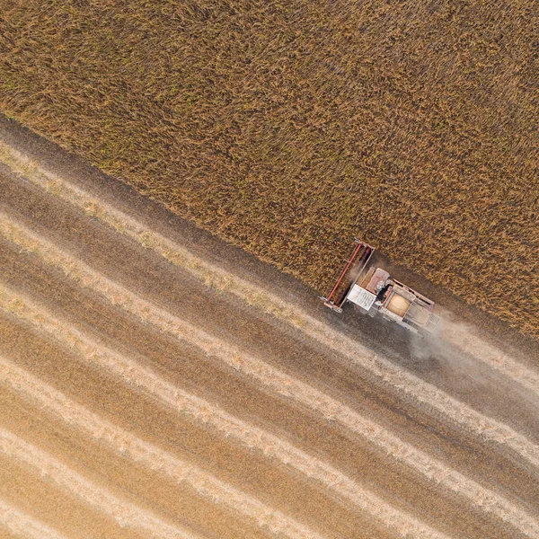 Maaimachine werkt in veld en maait tarwe. Oekraïne. Luchtfoto. — Stockfoto