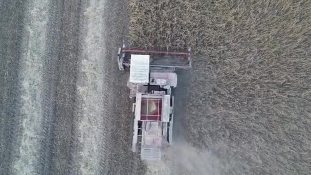 Vista dall'alto di una mietitrebbia, che lavora in campo e falcia il grano — Video Stock