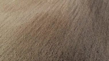 Buğday tarlası üzerinde havadan görünüm