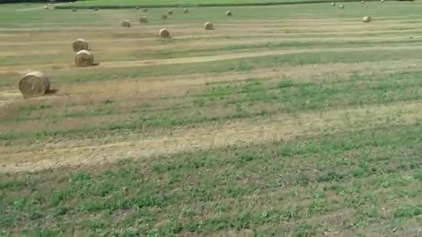 Vista aérea de un campo verde-naranja con gavillas redondas de paja de heno. Vídeo 4k — Vídeo de stock