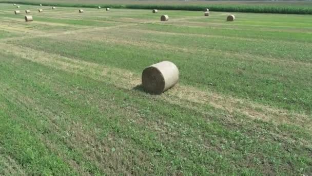 グリーン オレンジ フィールドの空撮はラウンド干し草のわらの束です。4 k ビデオ — ストック動画