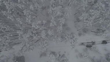karlı bir ormanda bir kırsal manzara, Ukrayna üzerinden uçan 4 k anteni
