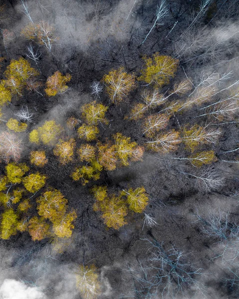 Pohled na podzimní bezpilotní letouny — Stock fotografie