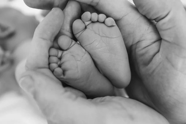 Stopy noworodka chłopca owinięte w ramiona ojca — Zdjęcie stockowe