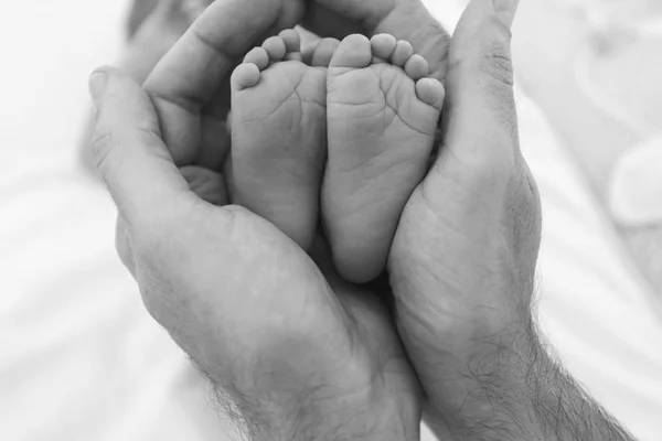 Stopy noworodka chłopca owinięte w ramiona ojca — Zdjęcie stockowe