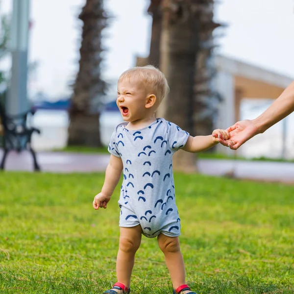 Un niño pequeño se para en el fondo de la hierba verde brillante y sostiene las manos de sus madres winces . — Foto de Stock