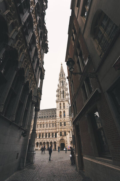 Ратуша на Гранд-Месте, Брюссель, Бельгия
