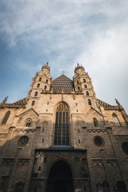 Viyana 'nın merkez meydanında Saint Stephens Katedrali, Avusturya