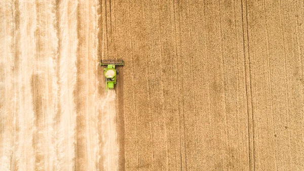 Харвестер работает в поле и косит пшеницу. Украина. Вид с воздуха . — стоковое фото