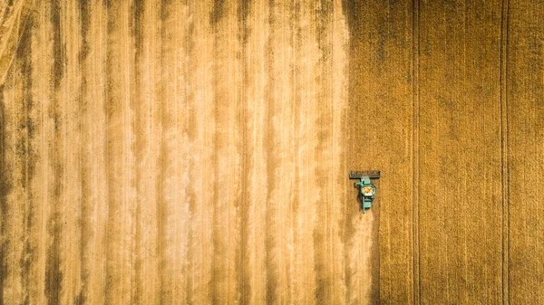 Kombajn do pracy w polu i kosi pszenicy. Ukraina. Widok z lotu ptaka. — Zdjęcie stockowe