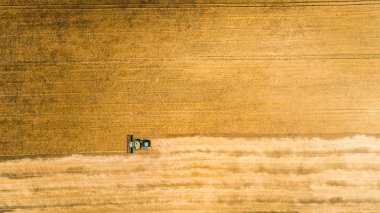 Çalışma alanı ve Mowser buğday hasat. Ukrayna. Havadan görünümü.
