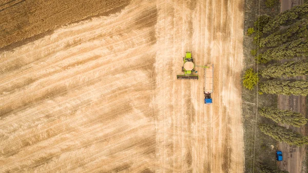 Güzel bir yeni birleştirmek hasat alanında bir kamyon römork içine tahıl döker. Havadan görünüm — Stok fotoğraf