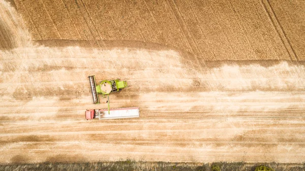 Krásná nová komizátor kombinuje obilí do nákladního přívěsu na hřišti. Letecký pohled — Stock fotografie