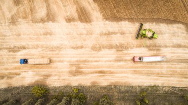Birleşimin havadan görünümü tahıl bölmesinden bir kamyona boşaltır. Bir kamyon gitti ve bir sonraki kamyon buğday tanelerini almak için geldi..
