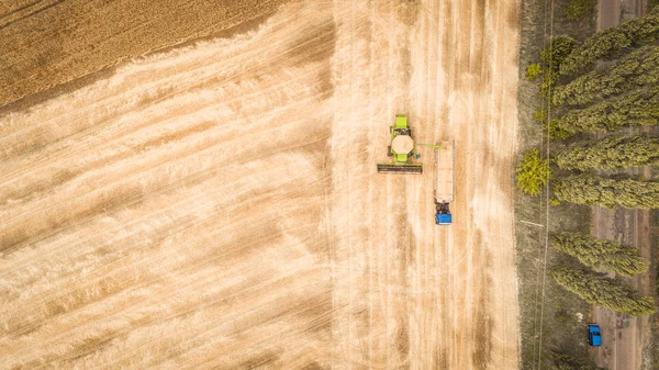 Uma nova e bonita colheitadeira deposita grãos em um caminhão reboque no campo. Vista aérea — Fotografia de Stock