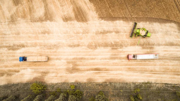 Aerial view of a combine unloads grain from grain compartment into a truck. One truck drove off and the next truck drove up to receive wheat grains. — Stock Photo, Image