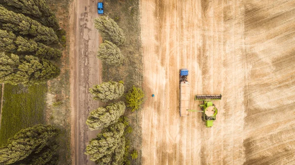 아름다운 새로운 결합 수확기필드에 트럭 트레일러에 곡물을 덤프. 공중 보기 — 스톡 사진