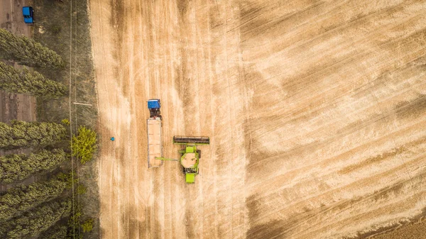 美しい新しい組み合わせ収穫機は、フィールド上のトラックのトレーラーに穀物をダンプします。航空写真 — ストック写真