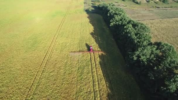 Crop spraying aerial view — Stock Video