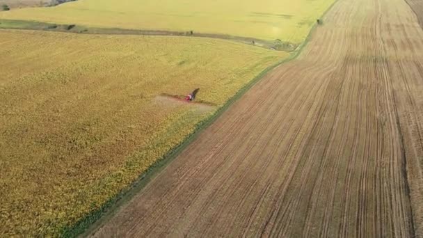 Gröda besprutning Flygfoto — Stockvideo