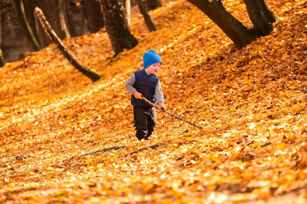 El niño se juega en el follaje de otoño — Foto de Stock