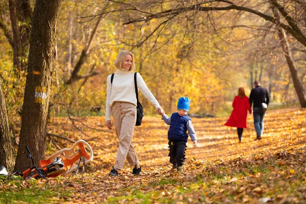 Mutlu kadın ve oğlu sonbahar parkında yürüyor. — Stok fotoğraf