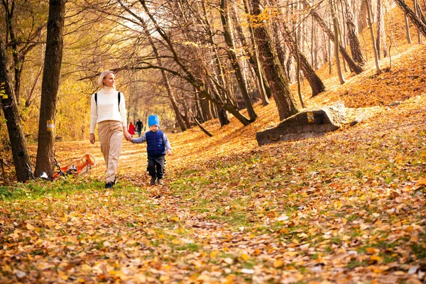 Mutlu kadın ve oğlu sonbahar parkında yürüyor. — Stok fotoğraf