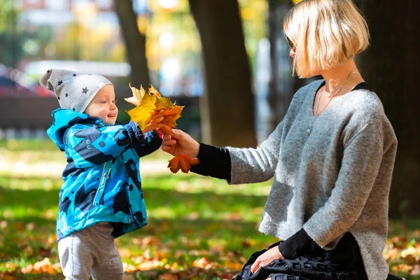 Sonbaharda annesiyle parkta küçük bir çocuk. — Stok fotoğraf