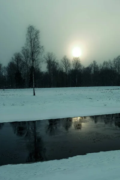 Kleiner Fluss Und Birke Mit Schnee Ringsum Und Sonne Dunst — Stockfoto