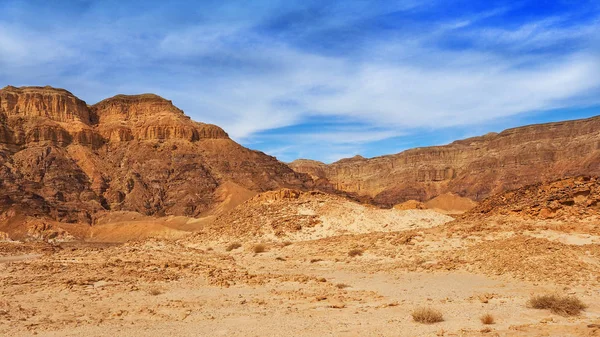Deşertul Negev Parcul Israelian Timna Eilat — Fotografie, imagine de stoc