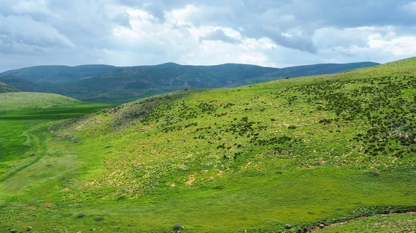 Зелені долини в Ізраїлі — стокове фото