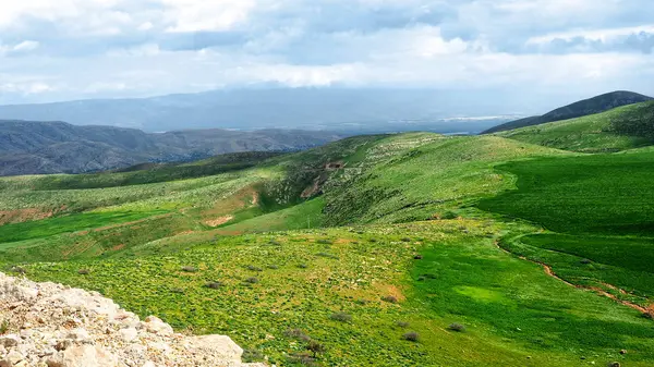 Зелені пагорби в Ізраїлі — стокове фото