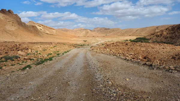 Route dans le désert du Néguev — Photo